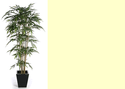 Bamboo (Artificial) for Hire