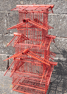 Chinese Bird Cage  HIRE