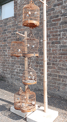 Vintage Chinese Bird Cages .. hire
