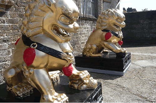 Chinese Lions Hire