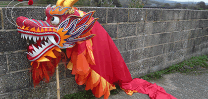 Dragon Dance Costume for Single Operator