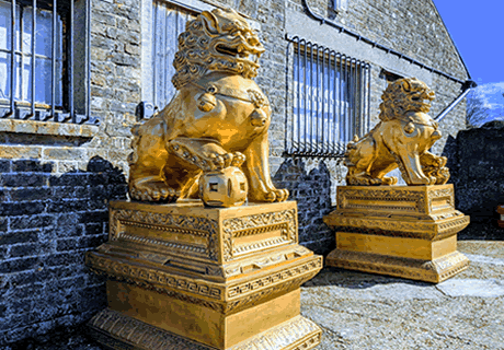 Large gold Foo Dogs Lions Hire