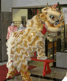 Lion dance Costume Hire