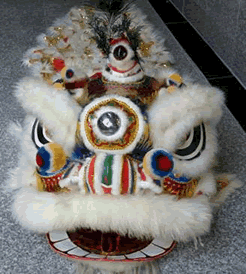 Lion Dance Costume for Hire